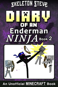 Enderman Ninja 2