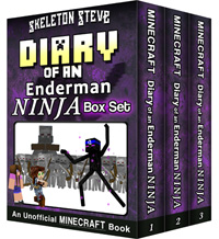 Enderman Ninja Box